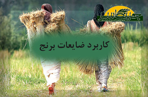 کاربرد ضایعات برنج
