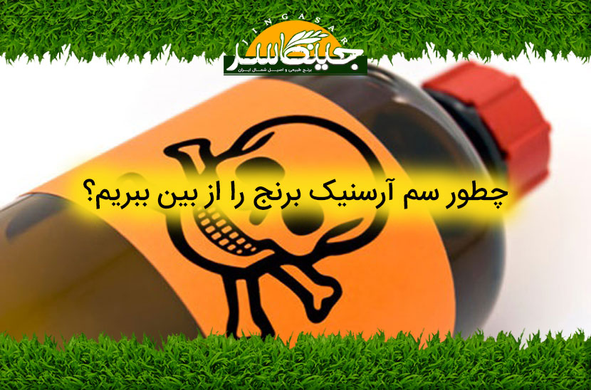چطور سم آرسنیک برنج را از بین ببریم؟
