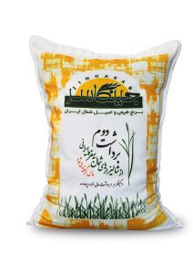 برداشت دوم