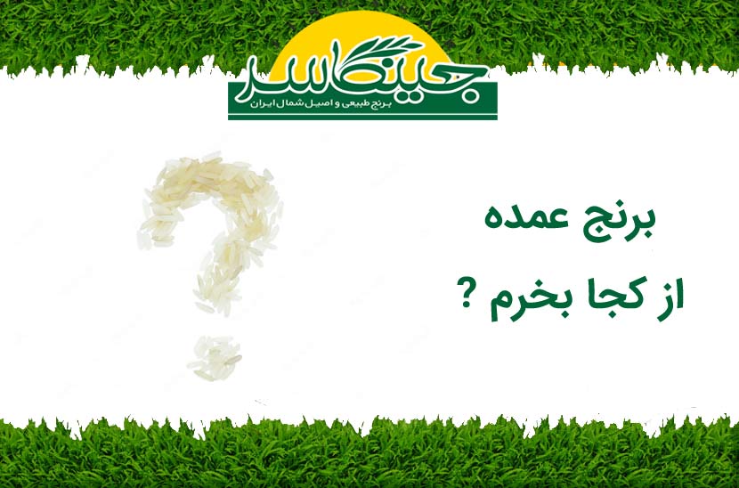 برنج عمده از کجا بخرم ?