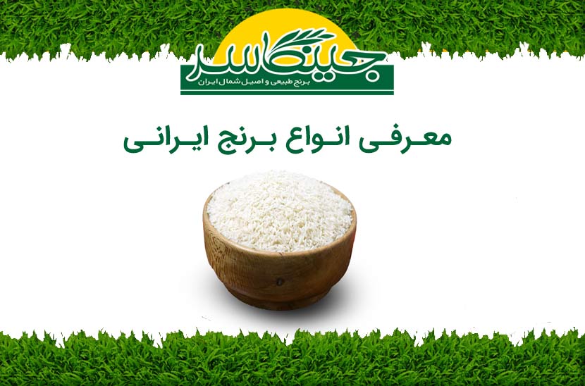 انواع برنج ایرانی