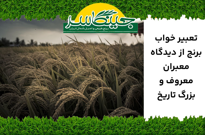 تعبیر خواب برنج معبران