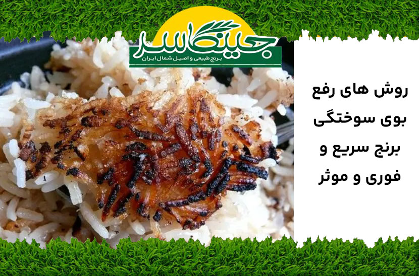 رفع بوی سوختگی برنج