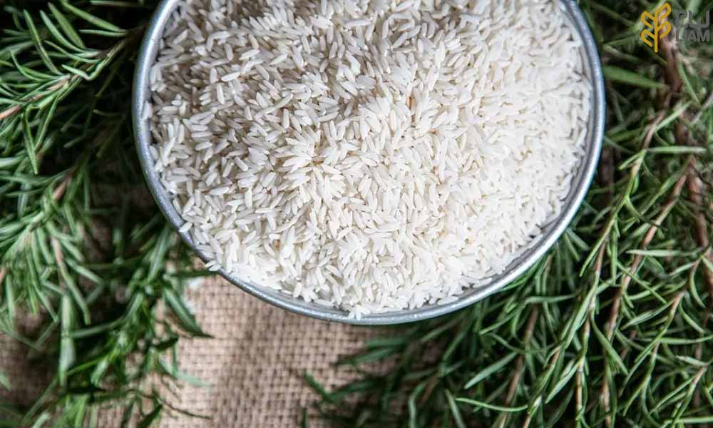 انواع برنج هاشمی