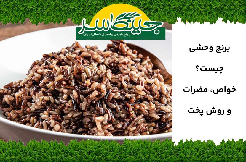 برنج وحشی چیست