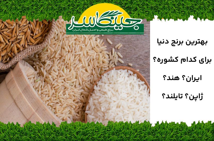 بهترین برنج دنیا