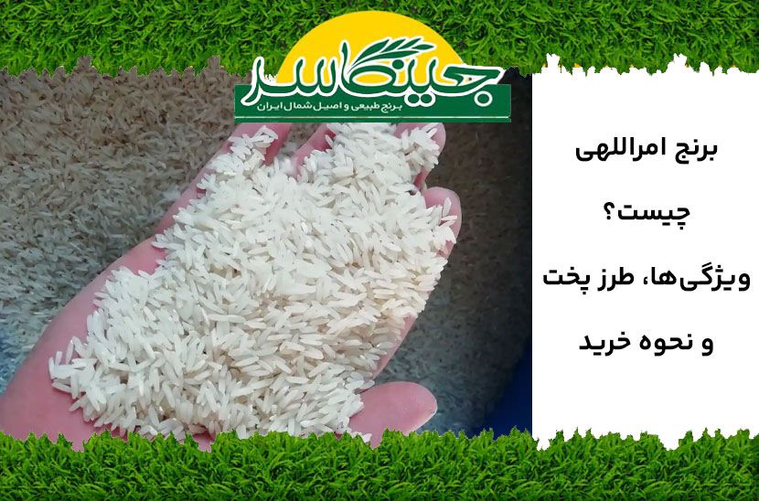 برنج امراللهی چیست