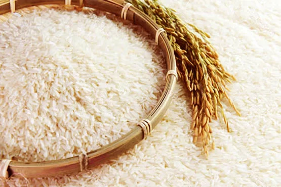 برنج طارم فریدونکنار