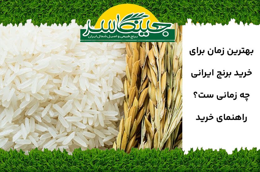 بهترین زمان برای خرید برنج ایرانی