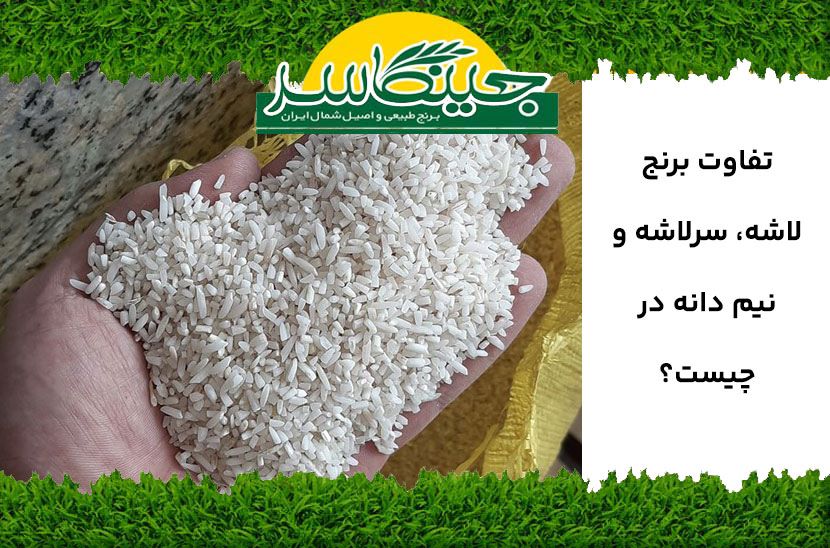 تفاوت برنج لاشه سرلاشه و نیم دانه