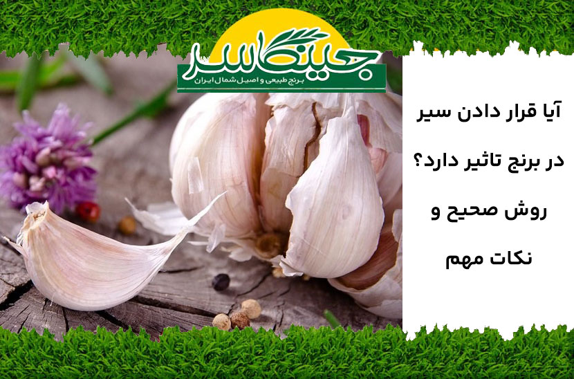 قرار دادن سیر در برنج