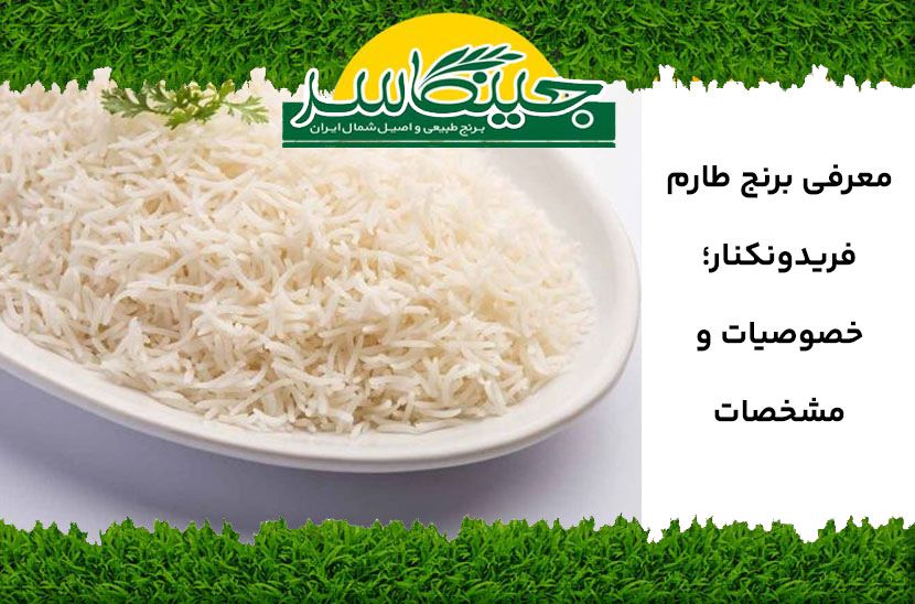 قیمت و خرید برنج طارم فریدونکنار