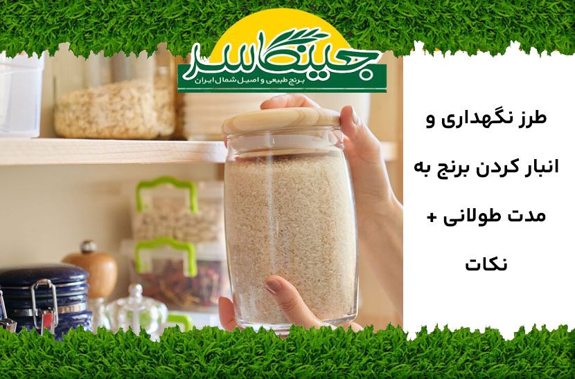 طرز نگهداری و انبار کردن برنج به مدت طولانی