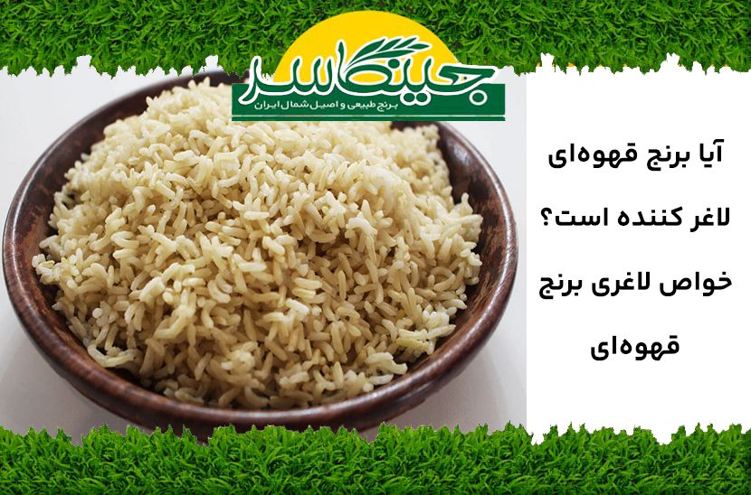آیا برنج قهوه‌ای لاغر کننده است؟ خواص لاغری برنج قهوه‌ای