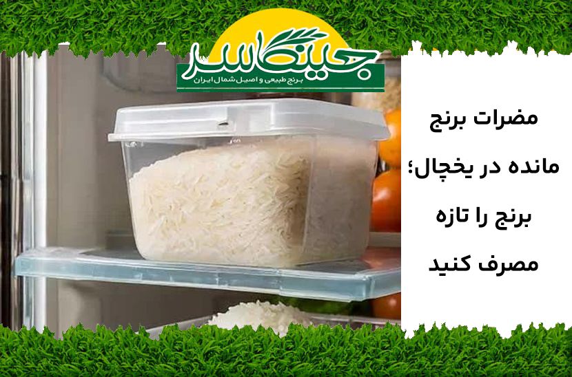 مضرات برنج مانده در یخچال؛ برنج را تازه مصرف کنید