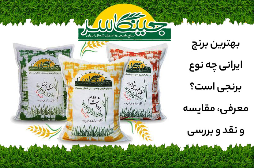 بهترین برنج ایرانی چه نوع برنجی است؟ معرفی، مقایسه و نقد و بررسی